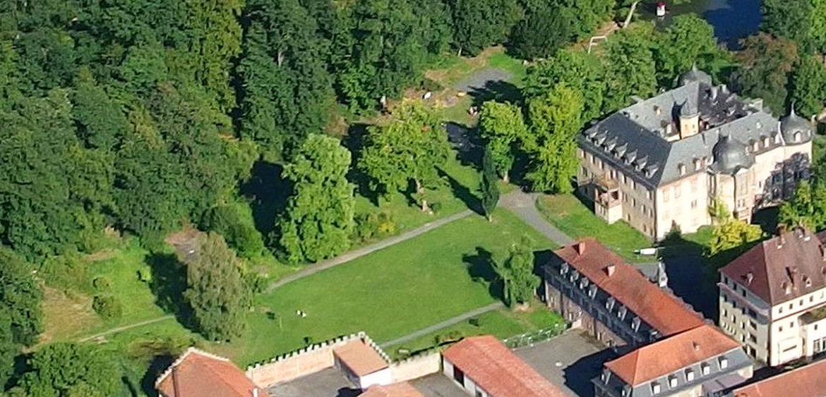 „Bürger Schloss Park im (Klima)Wandel“ wird gefördert