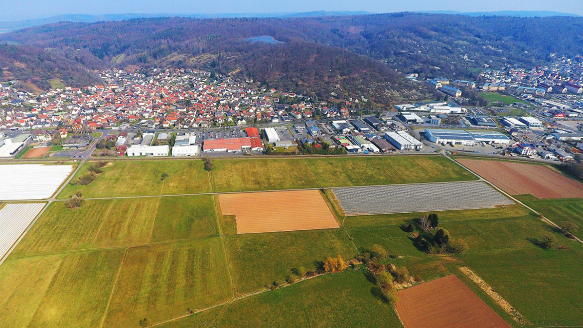 Sozialdemokrat*innen beantragen Solarpark in den Weiberswiesen