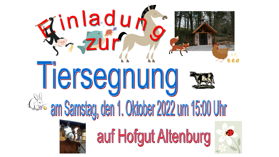 Morgen: Tiersegnung auf Hofgut Altenburg