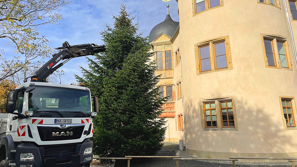Weihnachtsbaum für Schloss Wächtersbach