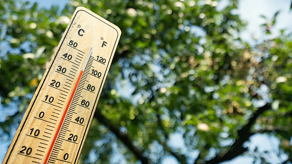 Kreisverwaltung lädt zum Hitzeschutztag ein