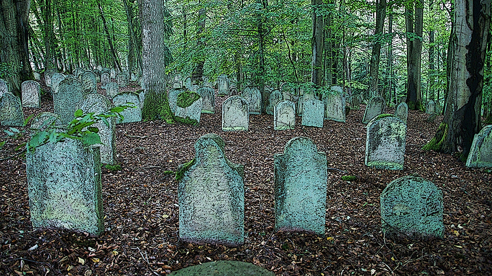 Sonntag, 23. April: Der jüdische Friedhof