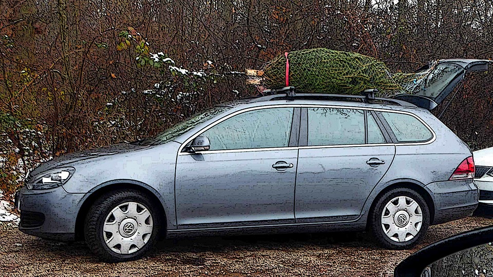 Vor dem Weihnachtsbaumtransport: Tannenbaum-Sicherung planen