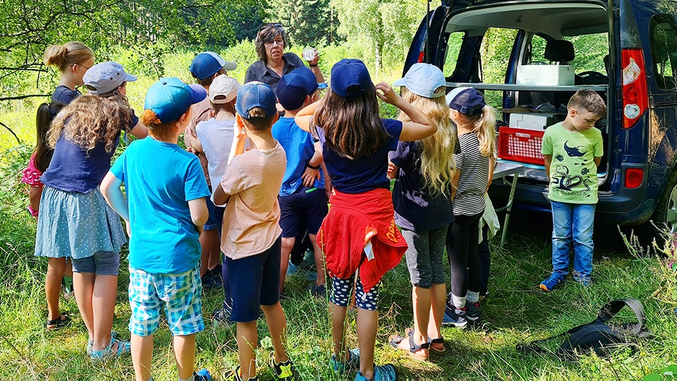 Ein Sommerabenteuer im Eschenkar