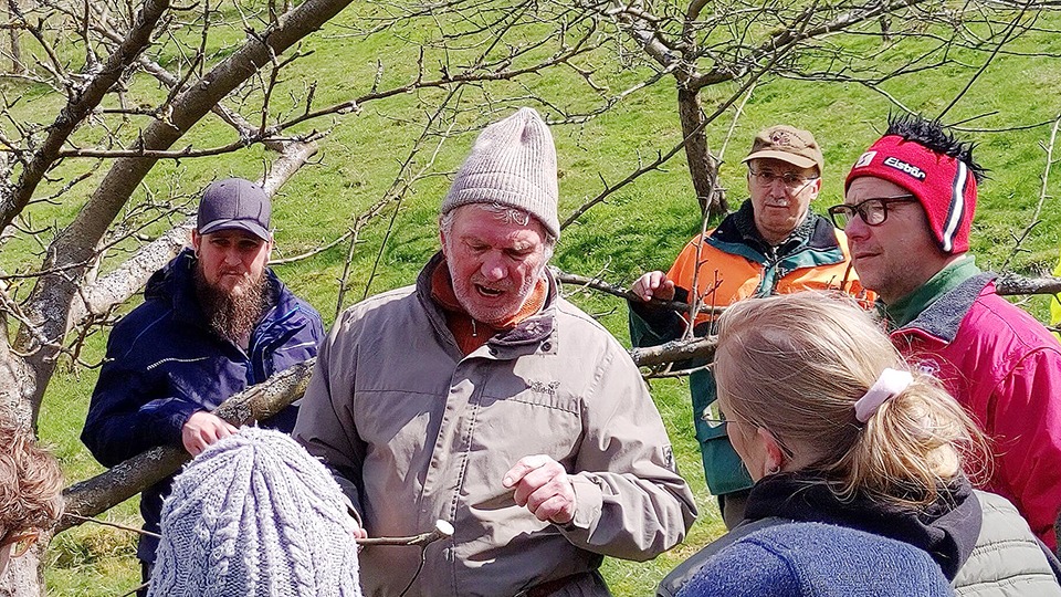 Neue Ausbildung zum/zur zertifizierten Landschaftsobstbauer/in