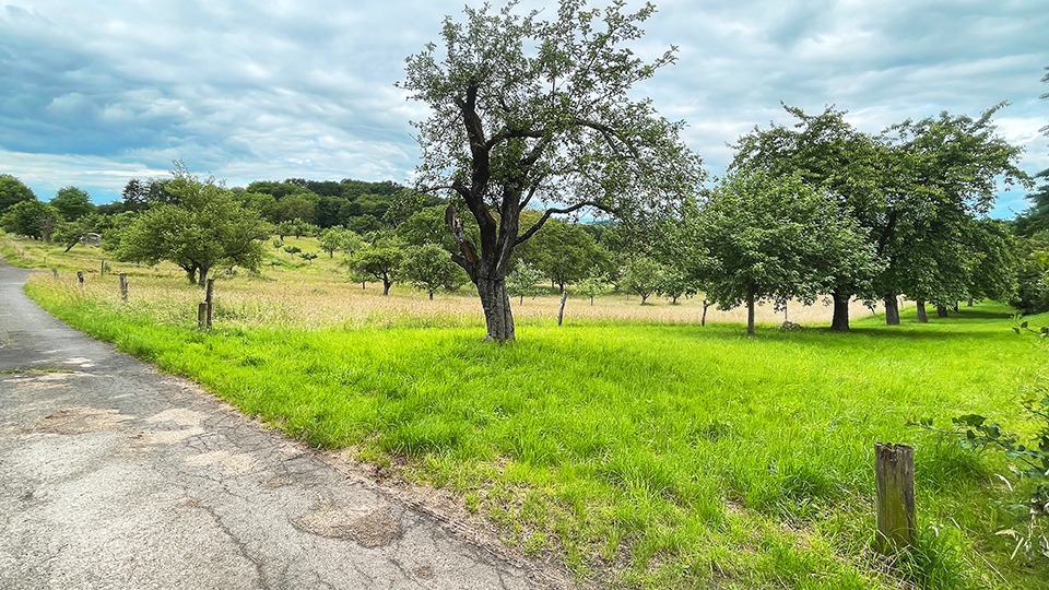 Apfelwein- und Obstwiesenroute im Ronneburger Hügelland