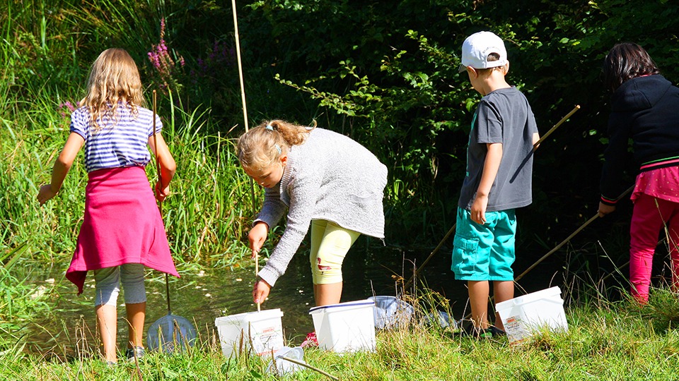 Lebensraum Wasser im urbanen Raum