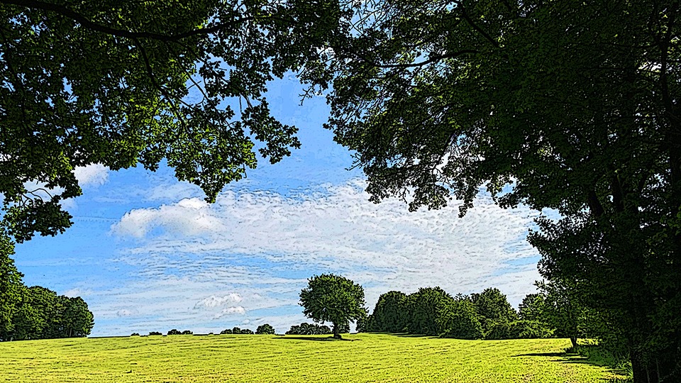 Kunst in der Natur entlang einer alten Eichenallee