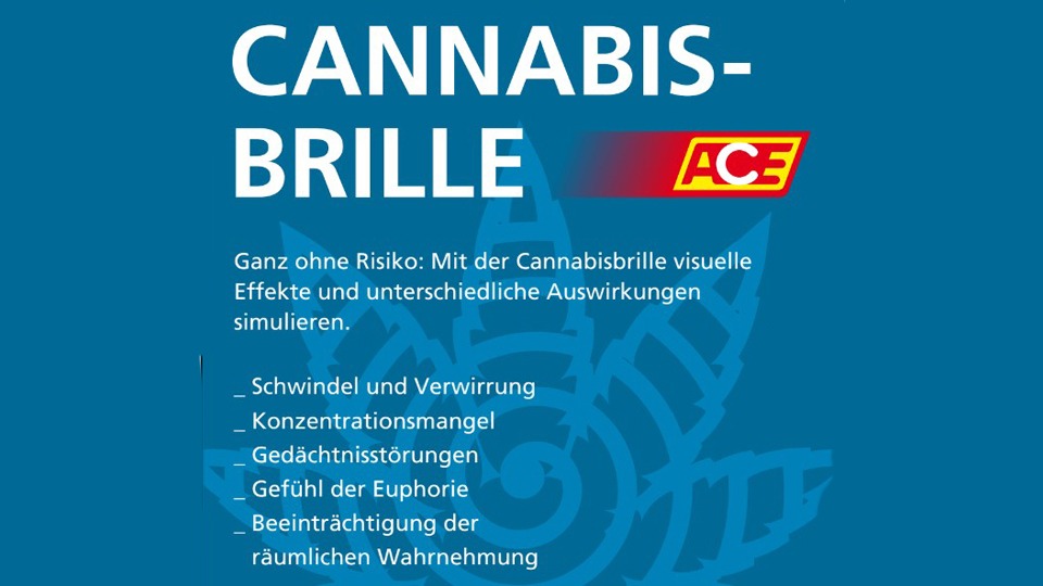 Ganz ohne Risiko: „Cannabis-Brillen-Test“